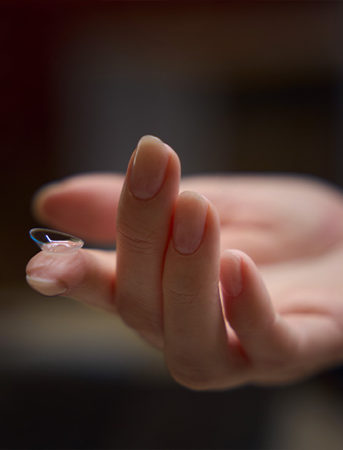 Contact Lenses